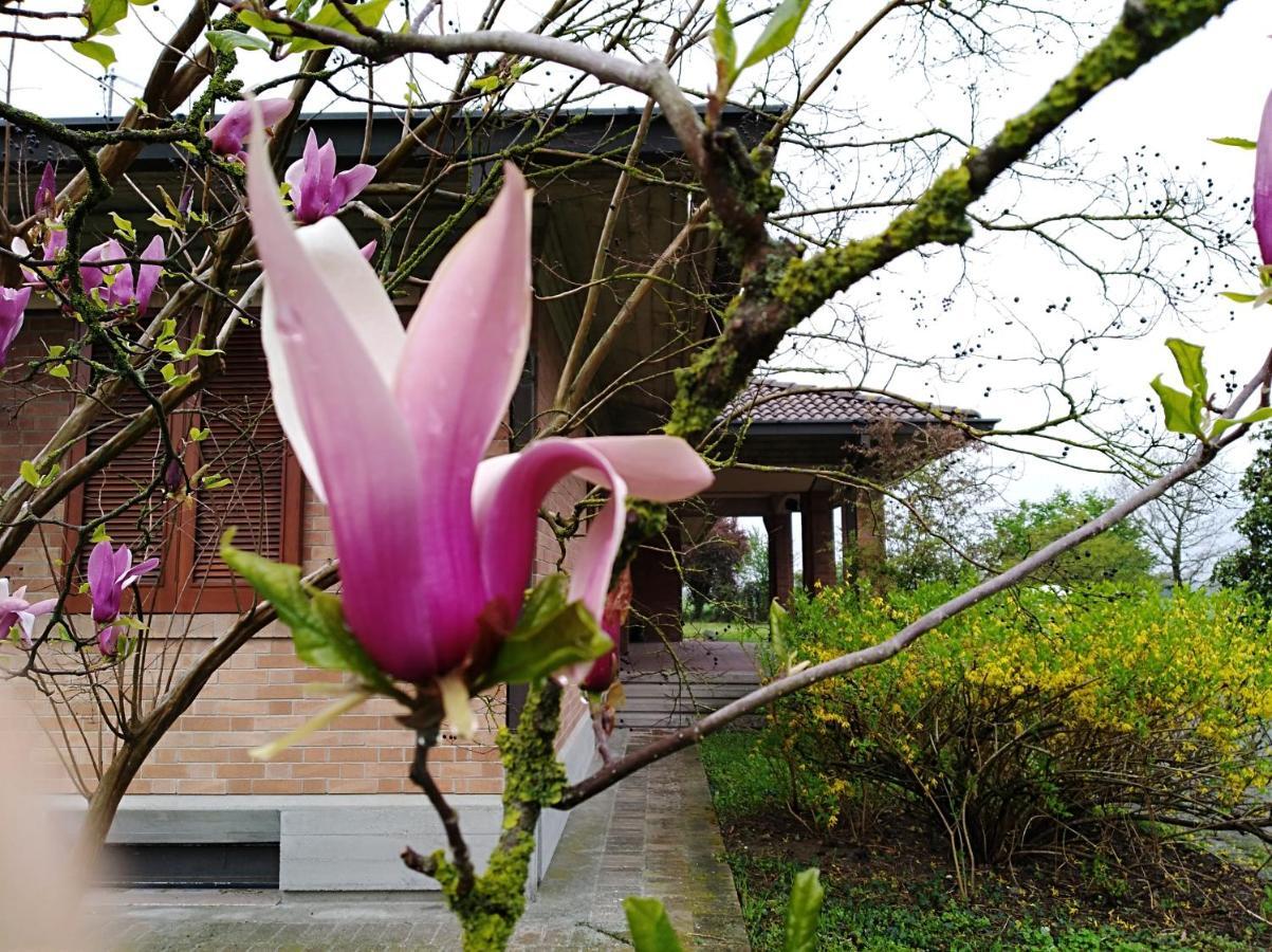 Agriturismo I Quercioli Parma Buitenkant foto